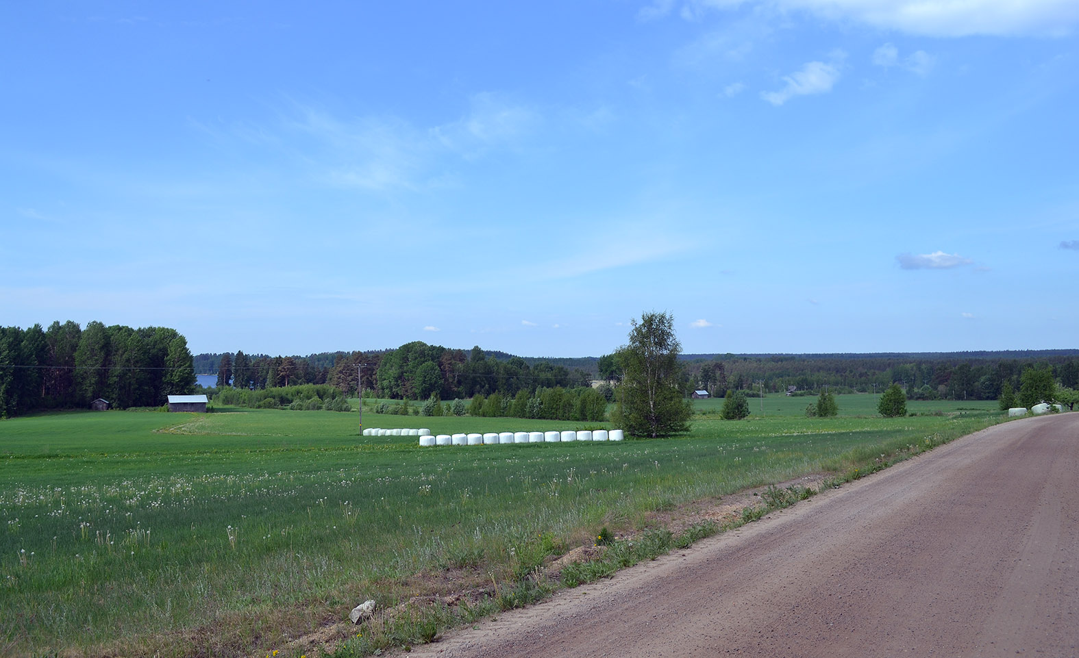 Kesäinen peltomaisema, jota halkoo hiekkatie.