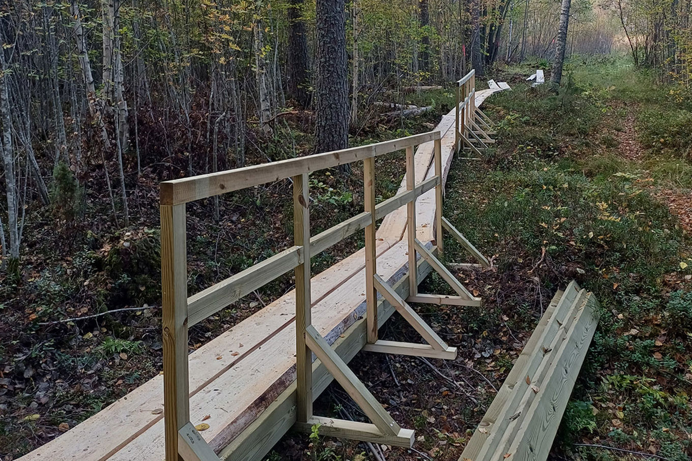Lankuista tehtyä pitkospuureittiä metsän keskellä.