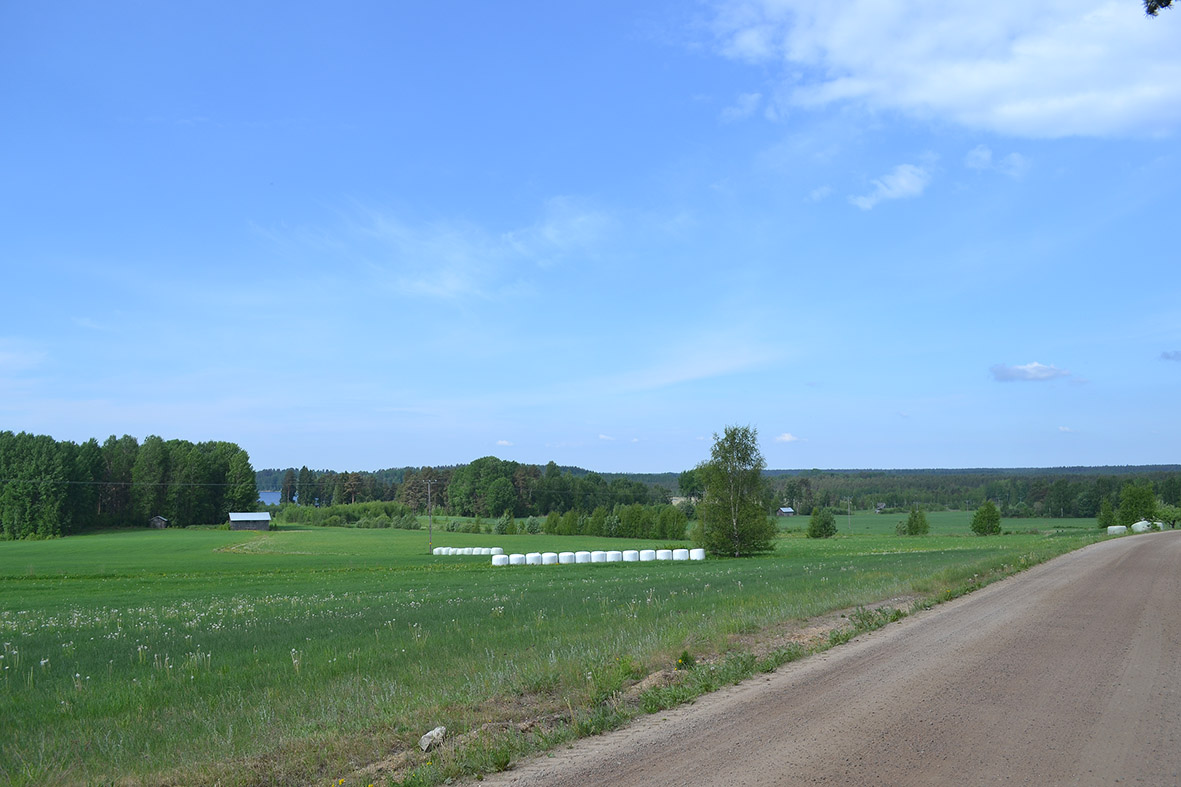 Maaseudun peltomaisemaa. Pellolla heinäpaaleja, etualalla kulkee hiekkatie.